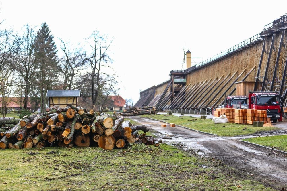 Im geschlossenen Kurpark wurden in diesem Monat zahlreiche Bäume gefällt.