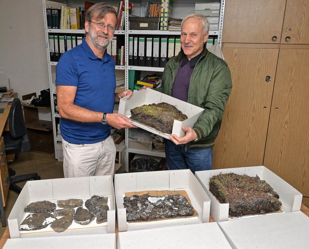 Museumsmitarbeiter Timm Karisch freut sich über den Besuch des russischen Flechten-Experten Mikhail Andreev. Er hilft beim Bestimmen der Dessauer Sammlung aus der Arktis und Antarktis.