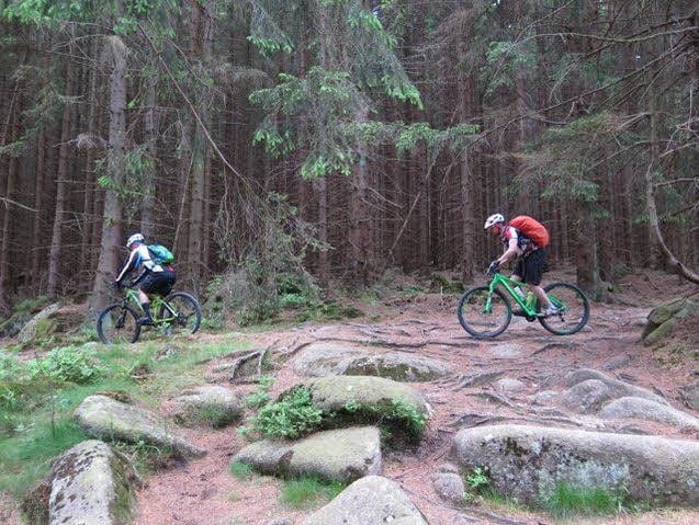 Über Stock und Stein geht es auch beim „Alpencross“.