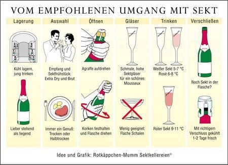 Sekttage stehen bevor... Damit die Sekt-Saison prickelnd wird, gibt es die Tipps zum richtigen Umgang mit dem perlenden Getränk. (Grafik: dpa/Rotkäppchen-Mumm Sektkellereien GmbH)