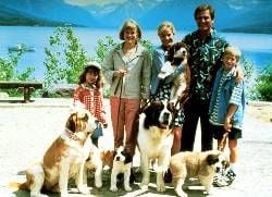 Bildtext: "Eine Familie namens Beethoven" am Mittwoch, 7. November 2001 um 20.15 Uhr bei Super RTL. Ein Hund namens Beethoven ist eben auch nur ein Mann. Da bleibt Nachwuchs natürlich nicht aus. In der turbulenten Komödie sorgen neben dem vierbeinigen Familienoberhaupt vier Bernhardiner-Welpen dafür, dass aus Familie Newton schlagartig eine Grossfamilie wird (v.li.): Emily (Sarah Rose Karr), Ryce (Nicholle Tom), Alice (Bonnie Hunt), George (Charles Grodin), Ted (Christopher Castile) und Beethoven (Mi.) mit seiner Missy (li.) dem kleinen Mo, Dolly, Tchaikovsky und Chubby.