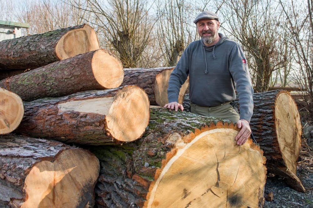 Eichen aus der Heide, manche über hundert Jahre alt, verarbeiten Jan Hillger und seine Kollegen zu ganz besonderen Möbelstücken.