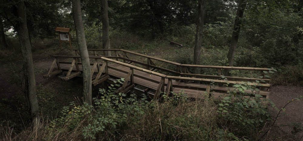 Über die neue Brücke gelangen Besucher auf historischem Weg in die Burg Anhalt.