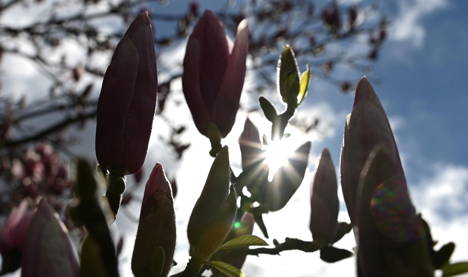 Am Mitwoch beginnt der kalendarische Frühling
