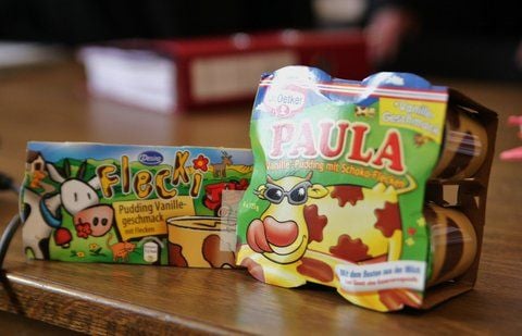 Der Aldi-Pudding «Flecki» und der Dr.Oetker Pudding «Paula» stehen auf einem Tisch. (FOTO: DPA)