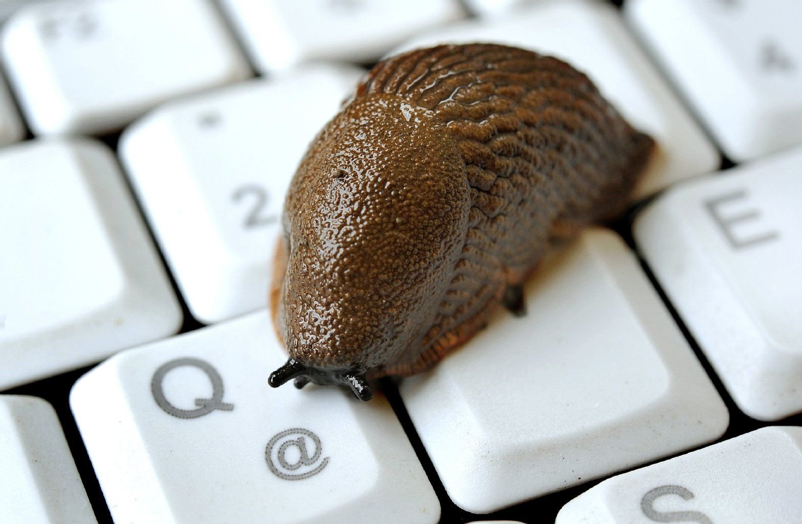 Schluss mit dem Schneckentempo bei Internetverbindungen