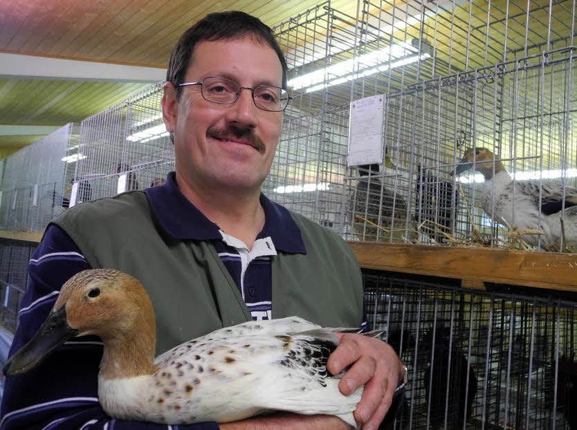 Solchen prächtigen silber-wildfarbenen Streicherenten und anderem Rassegeflügel widmet Holger Möbius einen Großteil seiner Freizeit.