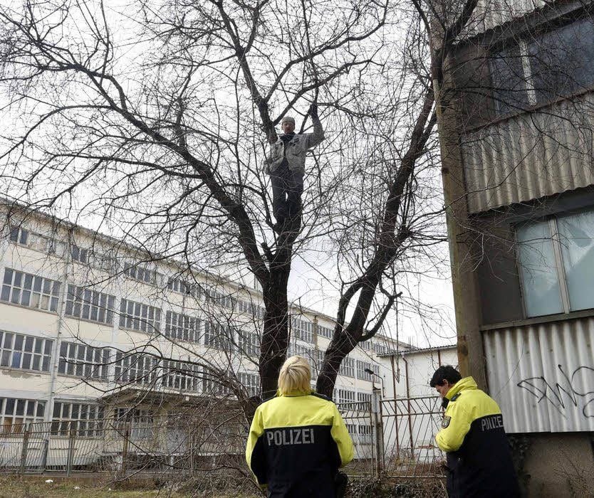 Die Polizei im Einsatz: ein Bürger hat den Baum besetzt.
