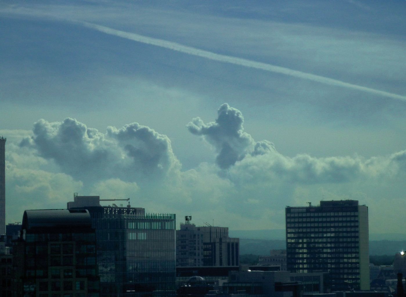 Ob der Wolkengott das Betteln dieses Welpen erhört?