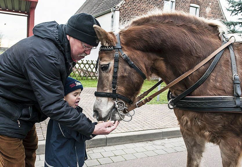Der kleine Anton hatte für die Pferde Möhren mitgebracht.
