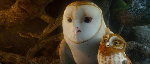 Schleiereule Soren und die Elfenkaeuzin Gylfie in dem 3D-Zeichentrickfilm «Die Legende der Waechter» von Zack Snyder. (FOTO: DAPD)