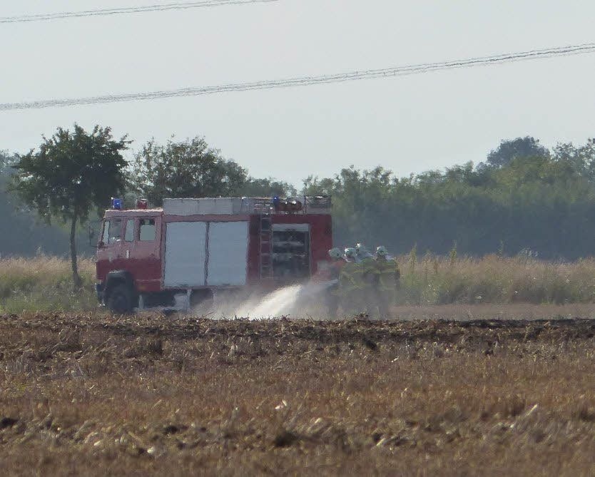 Über 60 Feuerwehrleute waren am Dienstag damit beschäftigt, das Feuer auf dem Feld bei Thalheim einzudämmen.