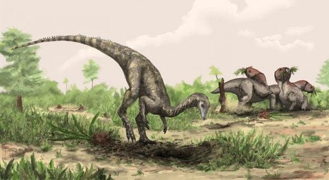 Künstlerische Darstellung des Dinosauriers Nyasasaurus parringtoni (FOTO: DPA)
