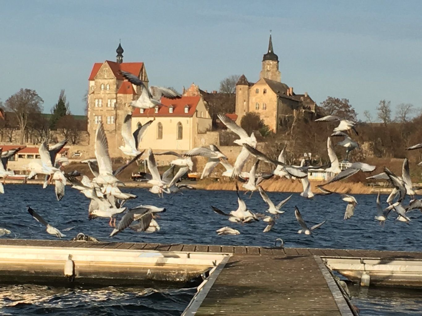 Weihnachtsspaziergang bei Osterwetter am Süßen See in Seeburg.