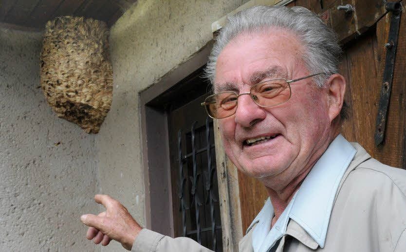Lothar Lauterbach zeigt das Nest am Gartenhäuschen.