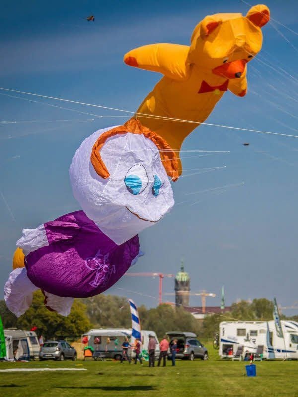 Fantasievolle Drachen über den Elbwiesen.