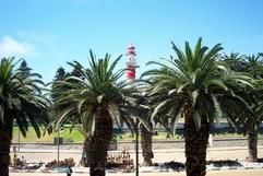 Leuchtturm zwischen Palmen - der 21 Meter hohe Turm von Swakopmund in Namibia könnte auch an der Nordsee stehen. (Foto: dpa)