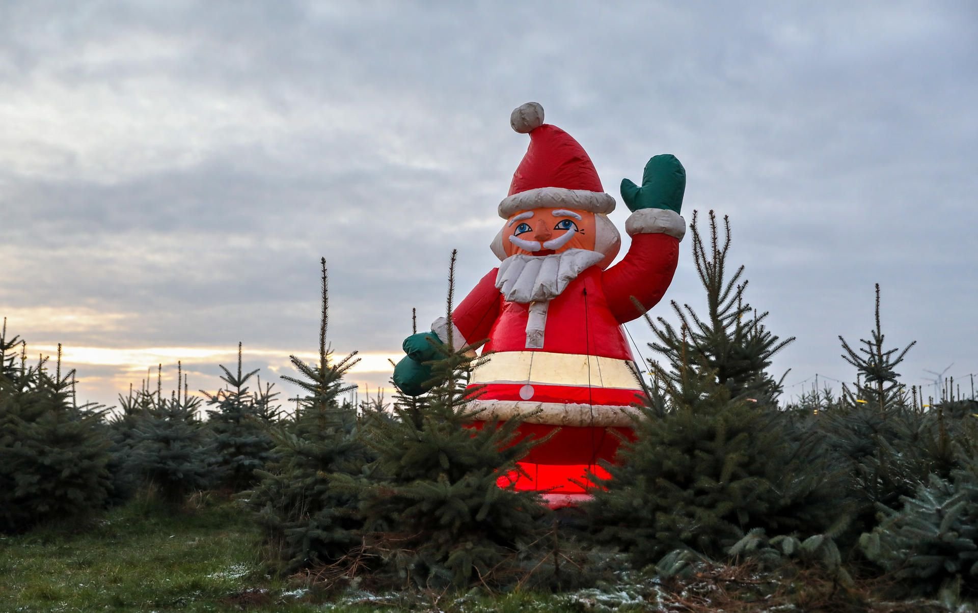 Alle Jahre wieder  : Weihnachten ohne Stress: Elf Tipps für ein  gelungenes Weihnachtsfest