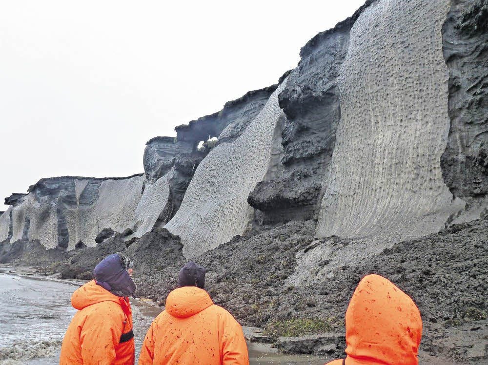 Ein Permafrost-Steilufer im Lena-Delta in Sibirien. Hellgrau ist das im Permafrost enthaltene Eis, dunkelgrau sind die im Permafrost enthaltenen Böden.