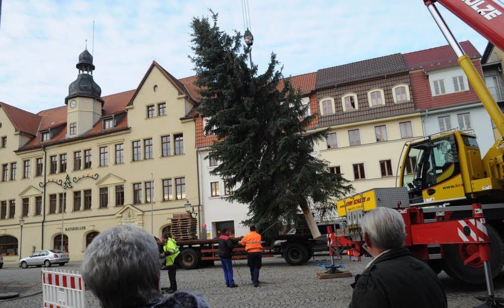 Es ist fast geschafft: Mit Hilfe eines Spezialkrans wird der Weihnachtsbaum aus Sylda auf den Hettstedter Markt gesetzt.