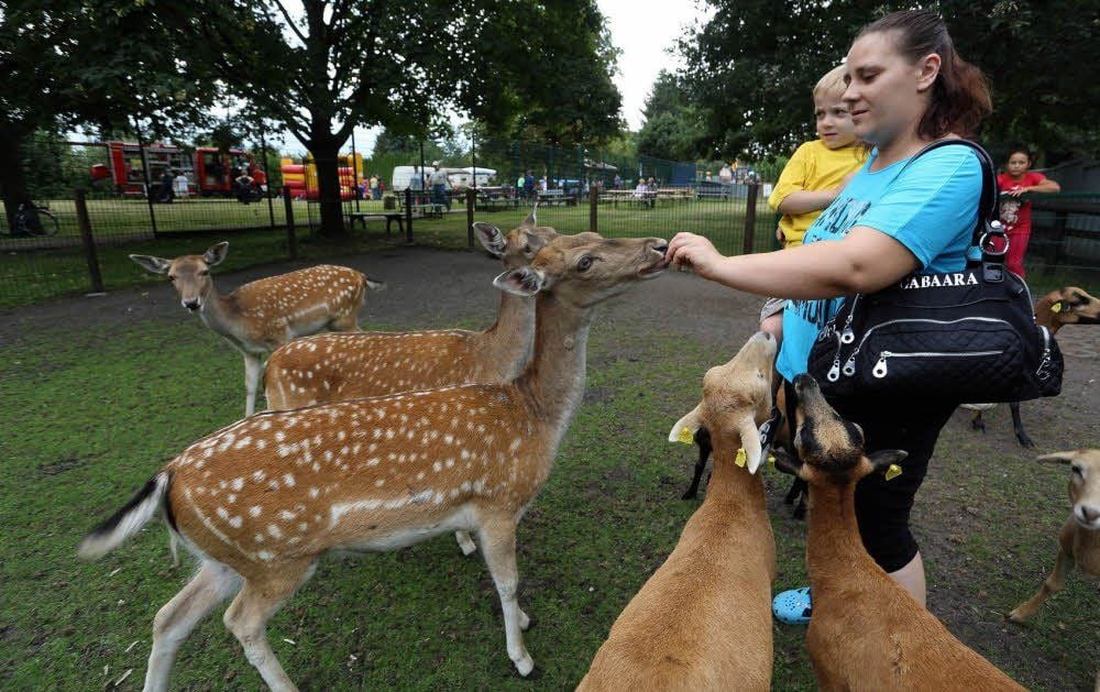 Im Jahr 2013 war das Tiergehegefest in Reuden in der Hand des Vereins Florian Reuden. Das soll auch in diesem Jahr so bleiben.