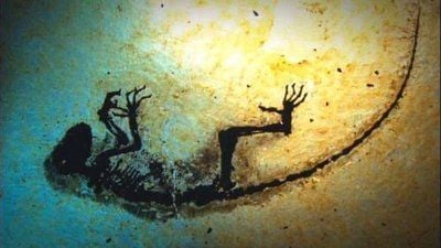 Das rund 47 Millionen Jahre alte Affen-Fossil «Ida» aus der Grube Messel bei Darmstadt (FOTO: DPA)
