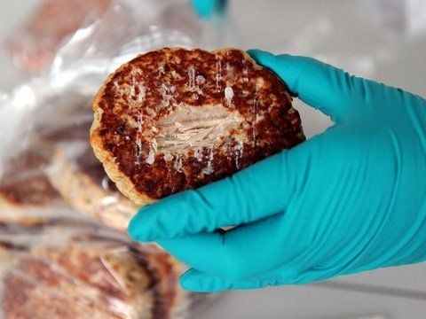 In einem Labor wird eine Frikadelle auf Pferdefleisch untersucht. Die EU setzt in dem Skandal jetzt auf Gentests.