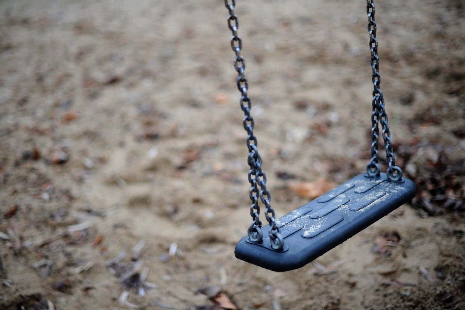 Auf einem Spielplatz im Leipziger Zoo ist ein Blitz eingeschlagen.