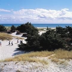 Der Sand in Dueodde ist so fein wie kaum sonstwo in Europa - auch dafür ist Bornholm bekannt. (Foto: dpa)