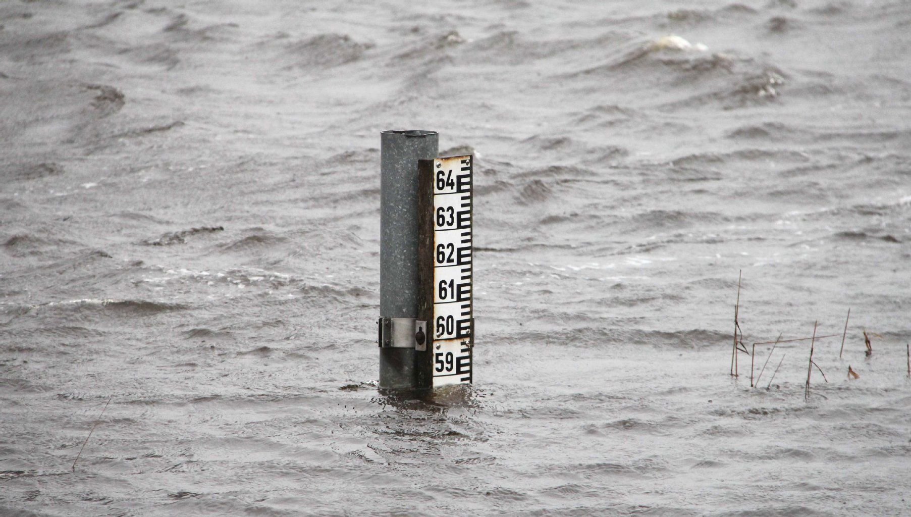 An einem Hochwasser führenden Fluss ist ein Pegelstand von knapp 5,90 Meter ablesbar.