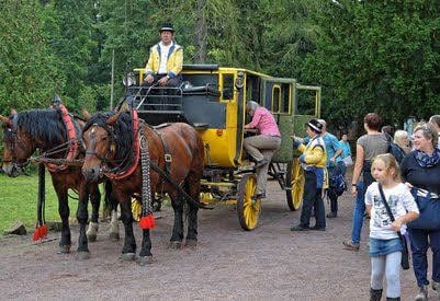 Mit der Kutsche ging es in die Heide.