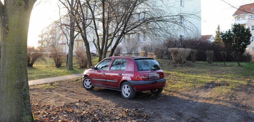 Das nächste Auto steht nun auf einer öffentlichen Grünfläche.