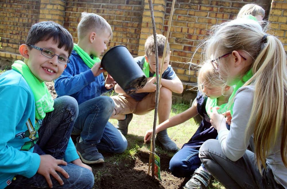 Dominik, Leon, Felix, Emelie und Lilly (v.l.) beim Pflanzen der Sträucher.