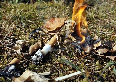 In Sachsen-Anhalt gibt es neue Waldbrandgefahrenstufen.