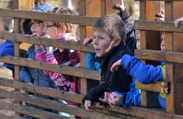 Die Schüler sind Zaungäste.