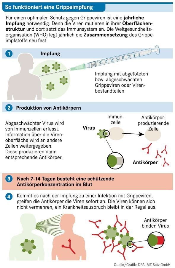 So funktioniert eine Grippeimpfung.