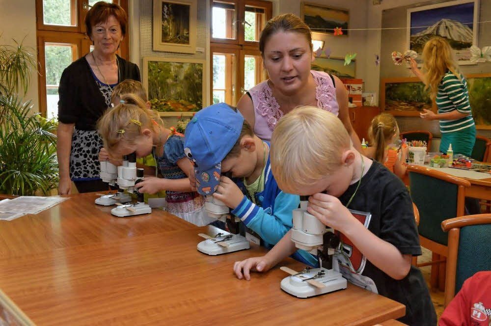 Gebannt schauen die Kinder der Gruppe „Kleine Strolche“ von der Kindertagesstätte „Fuchs und Elster“ durchs Mikroskop, wo sie die Schuppen auf Schmetterlingsflügeln erkennen können.