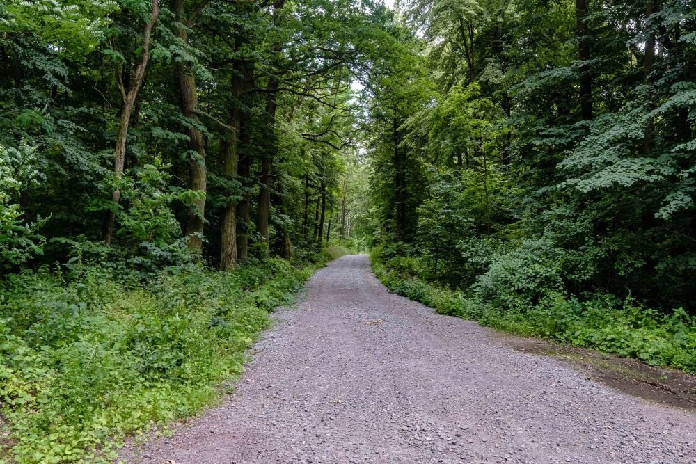 Die Schotterpiste zieht sich durch den Wald von Pöplitz bis zum so genannten Korea-See.