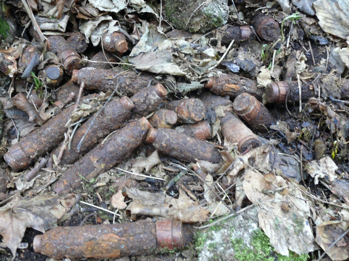 Im Waldgebiet bei Königshütte wurden 81 Flakgranaten aus dem 2. Weltkrieg entdeckt.