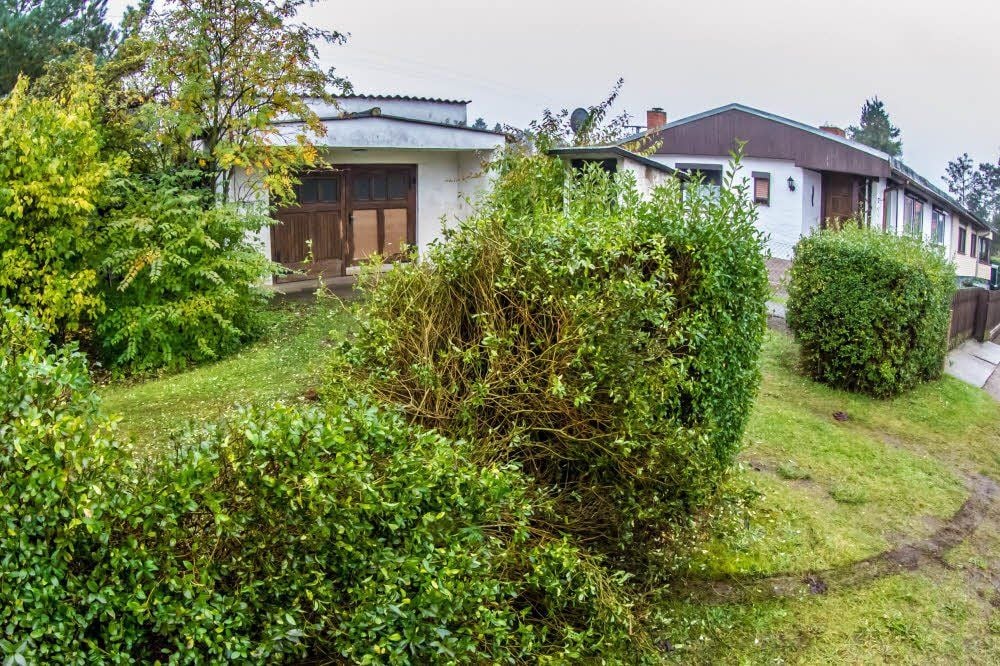 Ab durch die Hecke rutschte am Sonntagmorgen ein Fahrzeug in Seegrehna.
