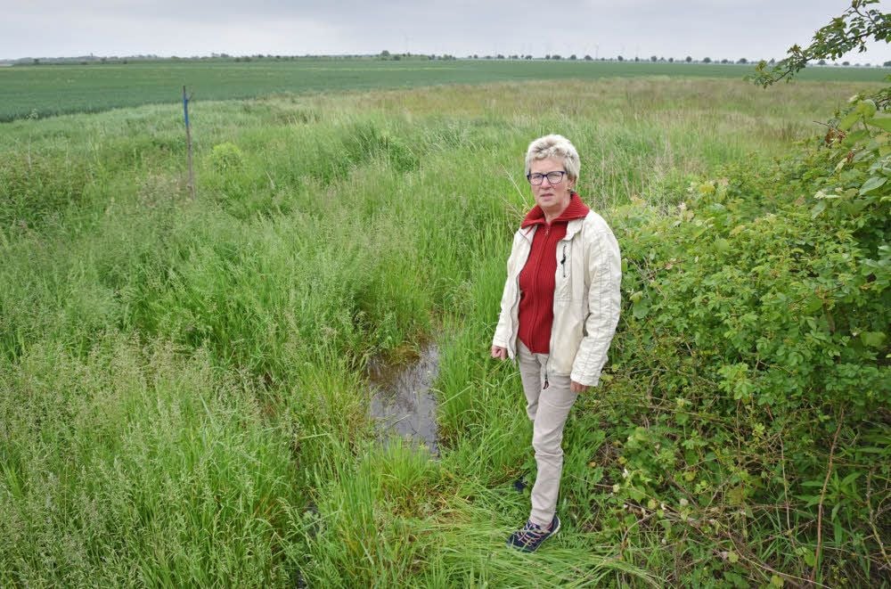 Immergrün am Sportplatz Köckern? Anke Müller beobachtet seit Monaten, das hier etwas nicht richtig läuft.
