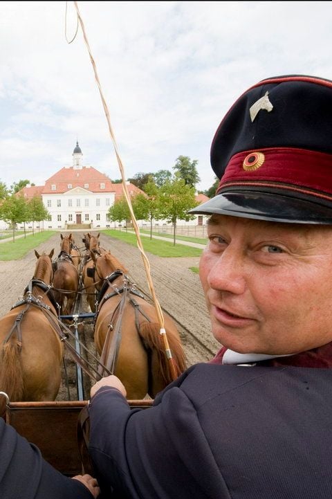 Der Kutscher Klaus Eckert lenkt seine Kutsche über das Brandenburger Haupt- und Landgestuet Neustadt an der Dosse. (FOTO: DAPD)