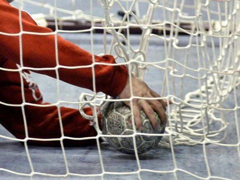 Handball im Tor.