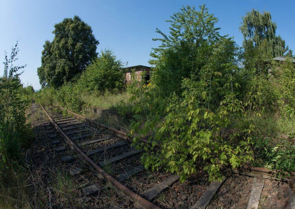 Die stillgelegte Bahnstrecke zwischen Frose und Gernrode wird wohl noch lange vor sich hindümpeln. Nicht alle Anrainerkommunen können sich mit der Idee eines Radweges auf dem alten Bahndamm anfreunden.