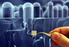 Ein Wissenschaftler hält am Mittwoch (06.12.2006) das Aufnahmeobjekt vor der Nanometer-Darstellung der Oberfläche eines Wavers in einem Elektronenmikroskop am «Nanotechnikum Weinberg» in Halle (Saale). (Foto: dpa)