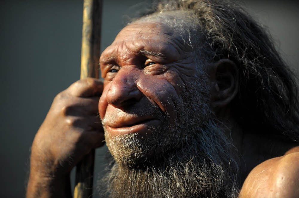 Nachbildung eines Neandertalers im Museum Mettmann
