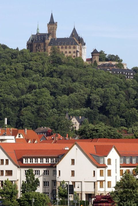 Hoch oben auf einem Berg thront das Schloss Wernigerode über der Harzstadt. Es ist unter anderem auch ein Zentrum für Kunst- und Kulturgeschichte - und alljährlich Ort mehrwöchiger Festspiele. (ARCHIVFOTO: DPA)