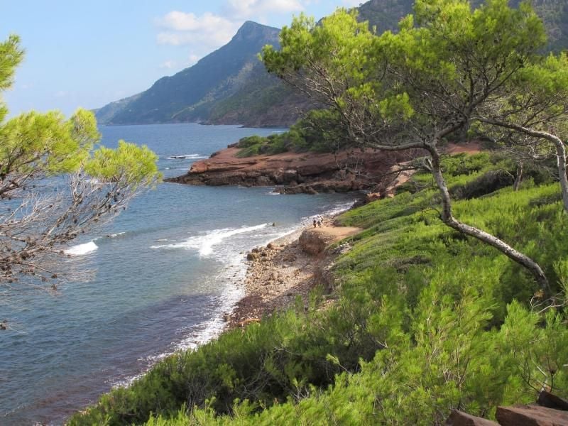Es riecht nach Kiefern und trockenen Gräsern, der Blick streift über das weite Blau des Mittelmeers: Herbst an der Tramuntana-Kette.
