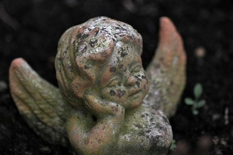 Darf man demnächst Bello mit auf den Friedhof nehmen? (FOTO: ARCHIV/DPA)