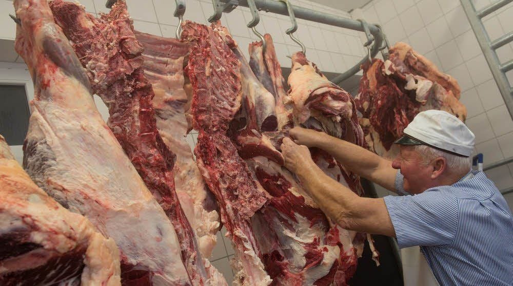 Zwei Schweine und ein Rind pro Woche werden am Anfang verarbeitet. In der modernen Schlachterei ist aber auf jeden Fall Kapazität für mehr. Hier arbeitet auch Fleischermeister Horst Pfannschmidt.
